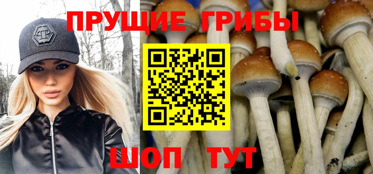 Псилоцибиновые грибы ЛСД  Вход с VPN  Гусь-Хрустальный 