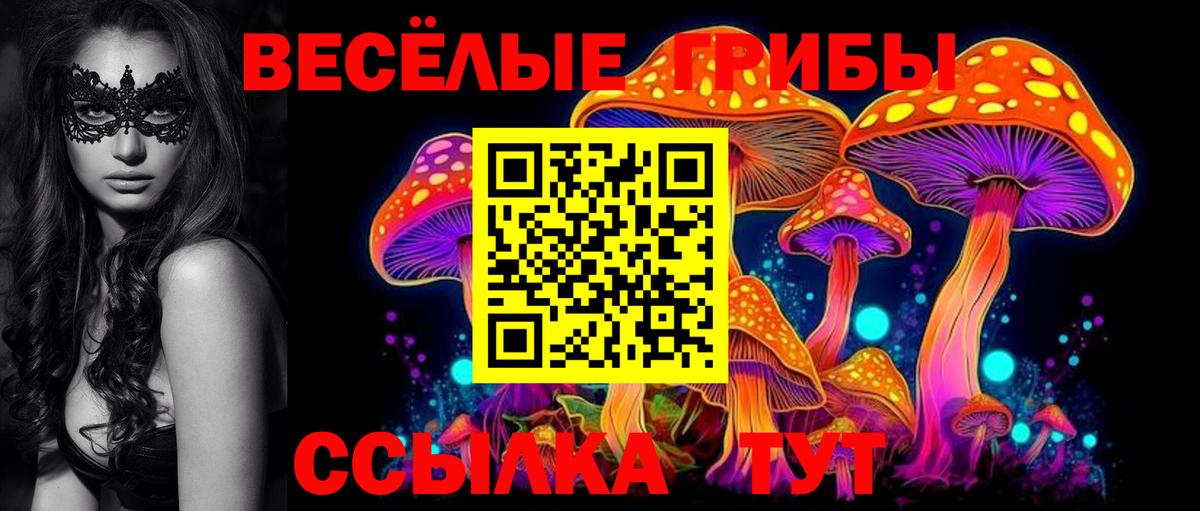 Галлюциногенные грибы Psilocybe Гусь-Хрустальный